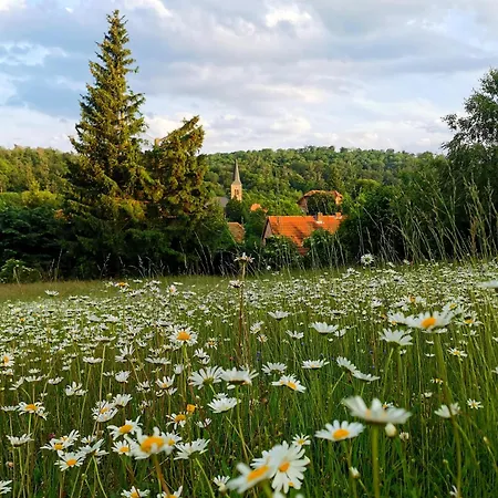 Waldblick Güntersberge