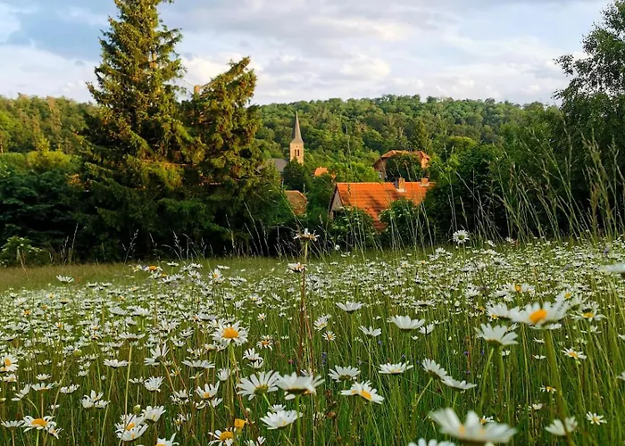 Waldblick Güntersberge